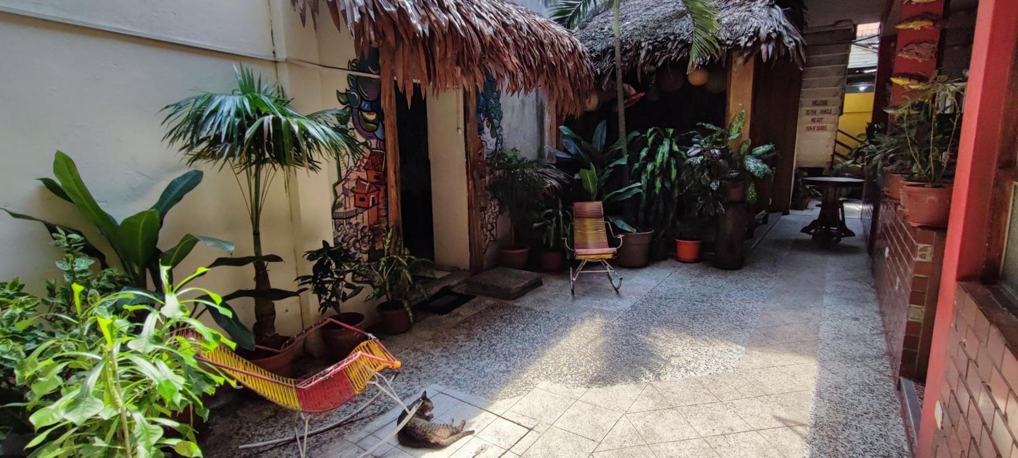 Flying Dog Hostel Iquitos Exterior foto