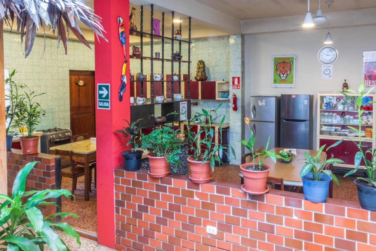 Flying Dog Hostel Iquitos Exterior foto